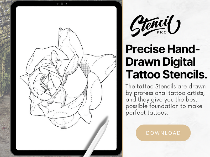 Roses | Procreate & PDF Pre-drawn Tattoo Stencils | 1st Gen