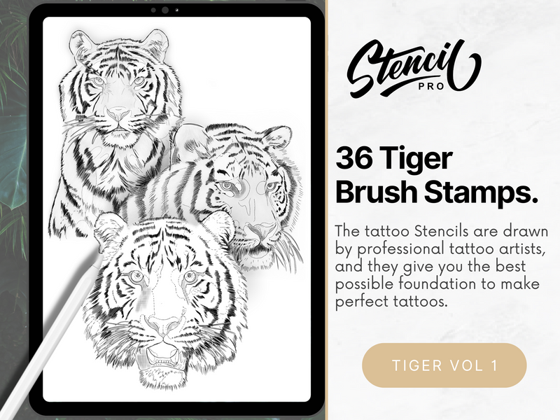 BIG Cat Bundle - X3 Tiger/ lion/ leopard Brushes Procreate Tattoo Stencil &amp; Reference Kit (con imágenes de referencia incluidas)